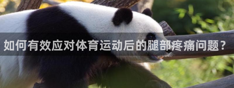 ug环球官网