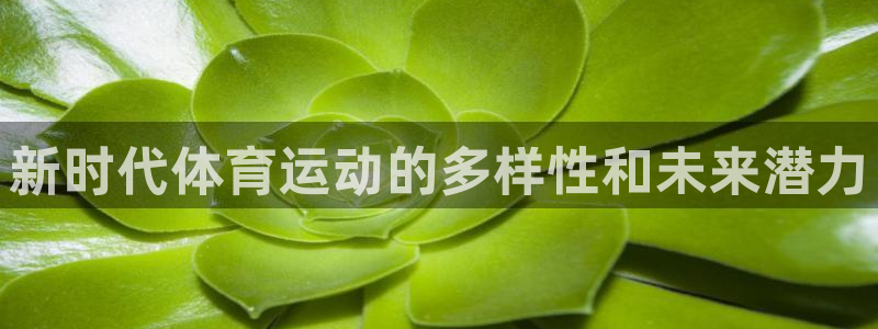 ug环球官网