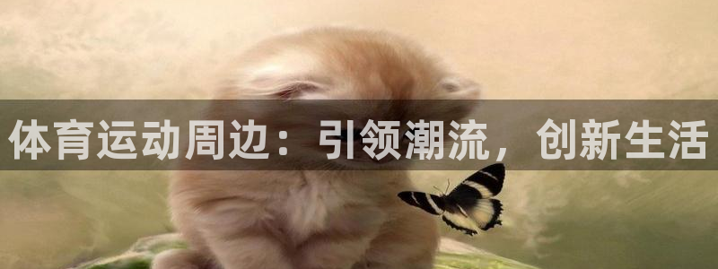 ug环球官网注册
