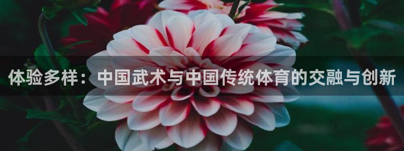 菲律宾ug环球官网