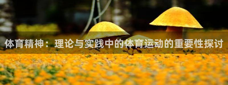 ug环球官网注册