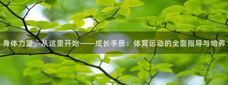 ug环球官网